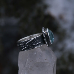 Shard Ring