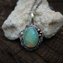 Load image into Gallery viewer, Reef Necklace