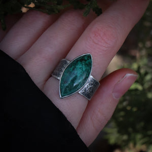 Reef Ring